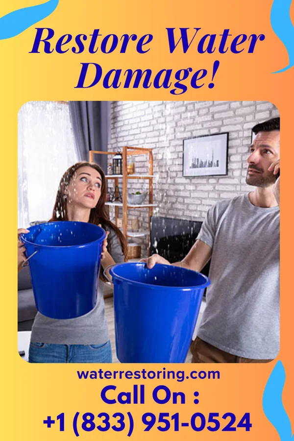water restoration Titan Water Cleanup Authority Stewart Manor