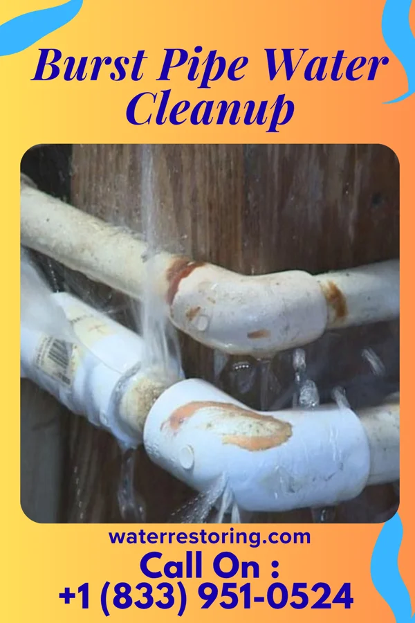 Burst Pipe Water Cleanup in Stewart Manor, NY