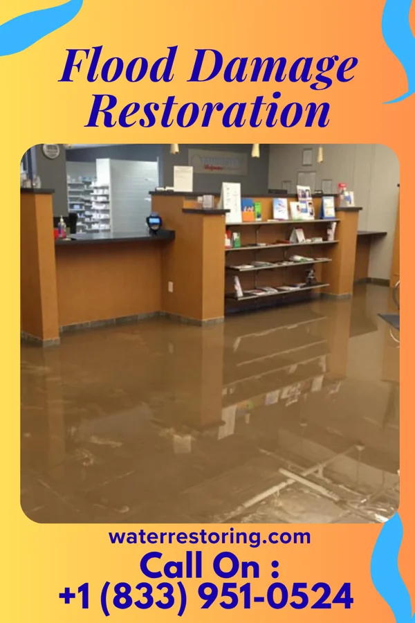 Flood Damage Restoration in Stewart Manor, NY