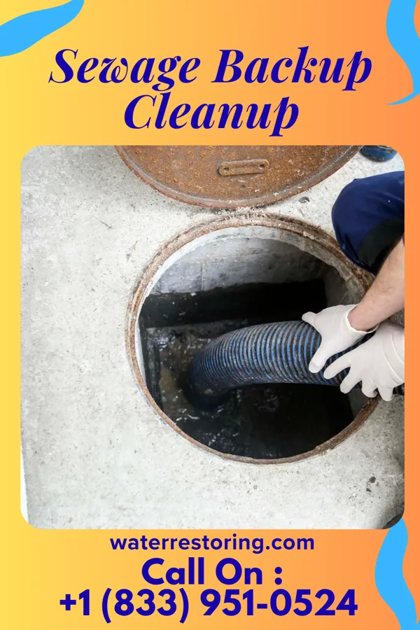 Sewage Backup Cleanup in Stewart Manor, NY