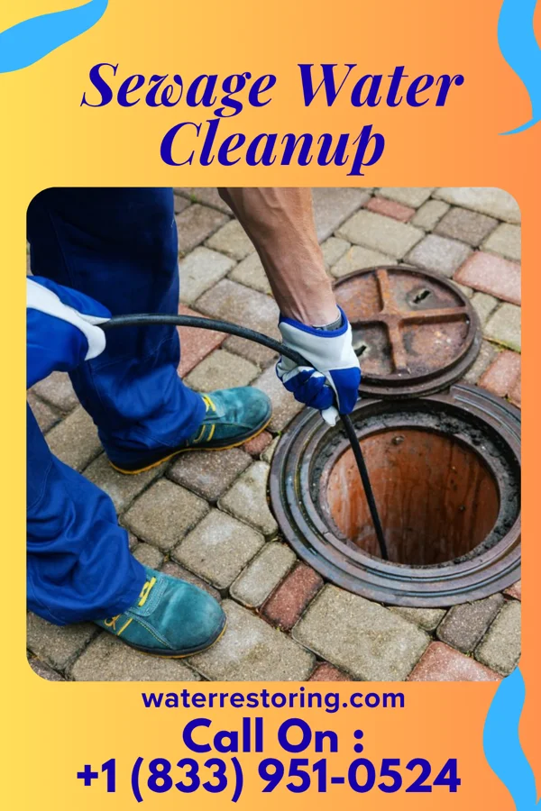Sewage Water Cleanup in Stewart Manor, NY