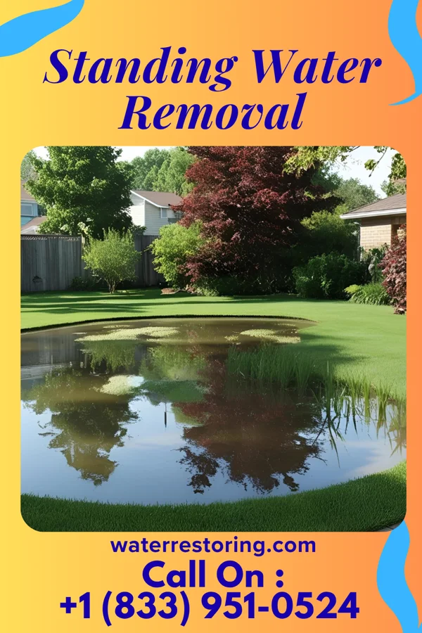 Standing Water Removal in Stewart Manor, NY
